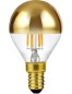 Preview: SPL LED Filament Globe G45x75 E14 4 W 250 lm 2500K Gold dimmbar