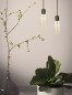 Preview: SPL LED Filament Rustika ST64x140 E27 4 W 220 lm 2200K klar dimmbar