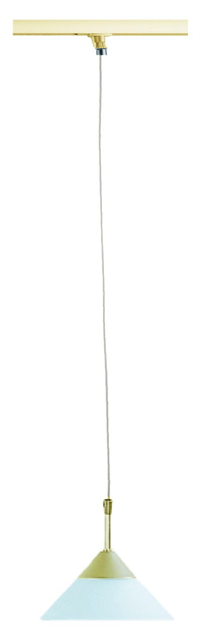 Powerline Pendel in gold  