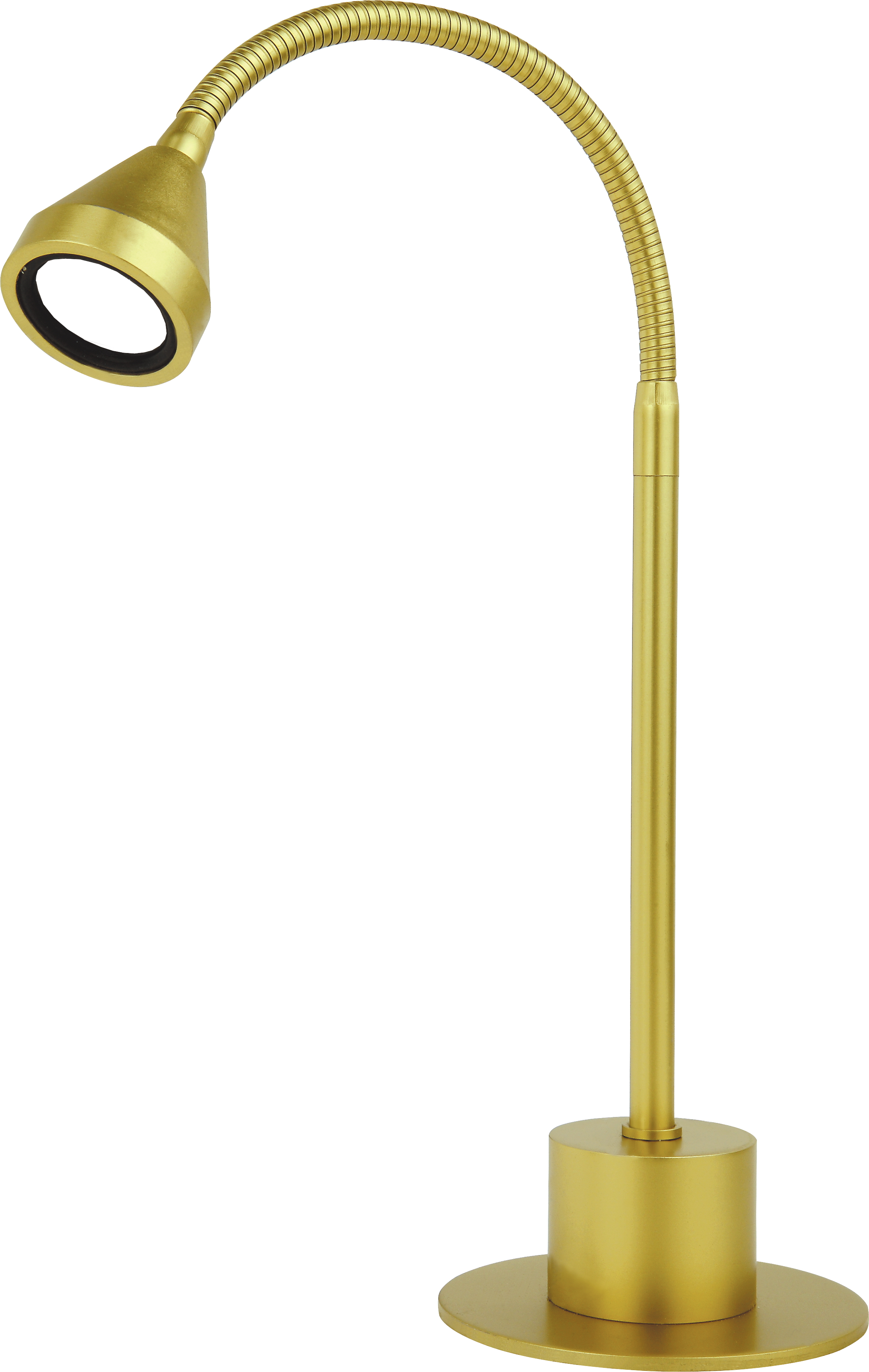 Mini LED Tischleuchte 30cm in gold matt 1x2,5W
