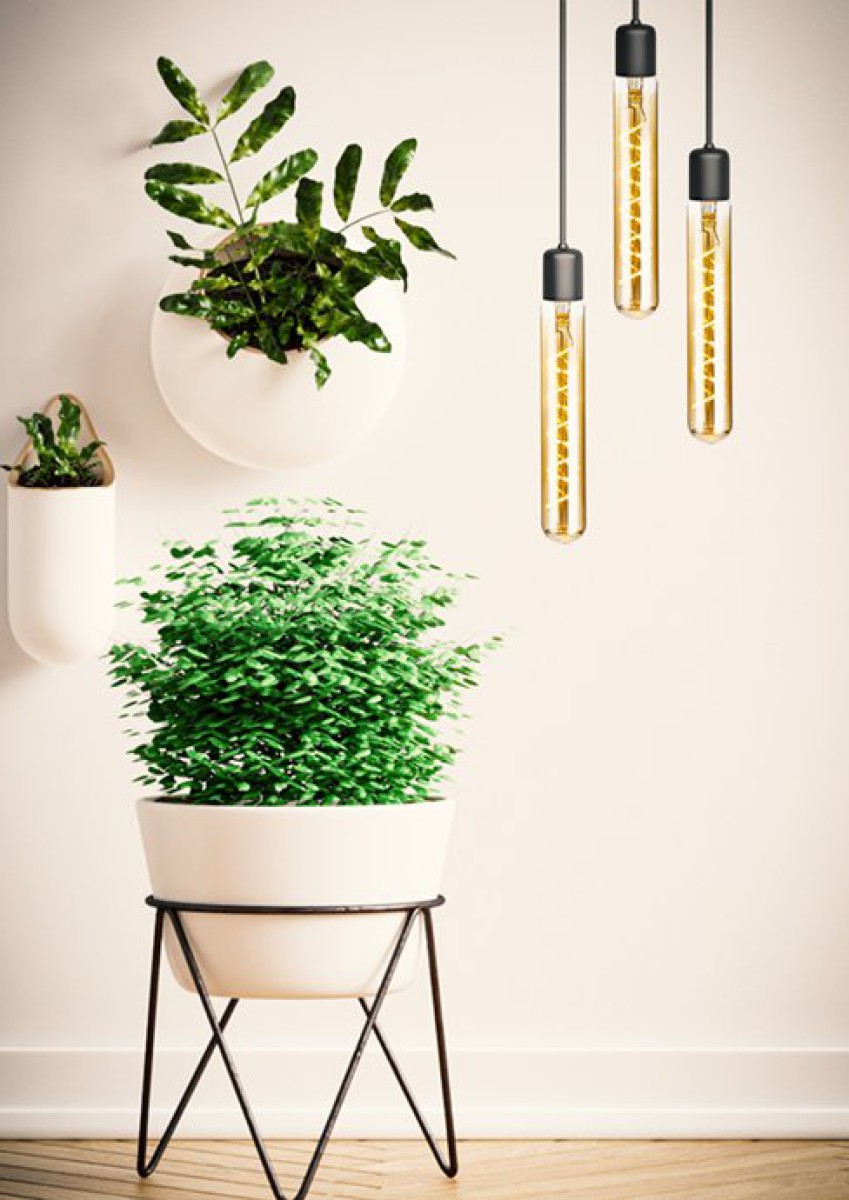 SPL LED Filament Röhre T32x200 E27 5 W 360 lm 2200K Gold dimmbar